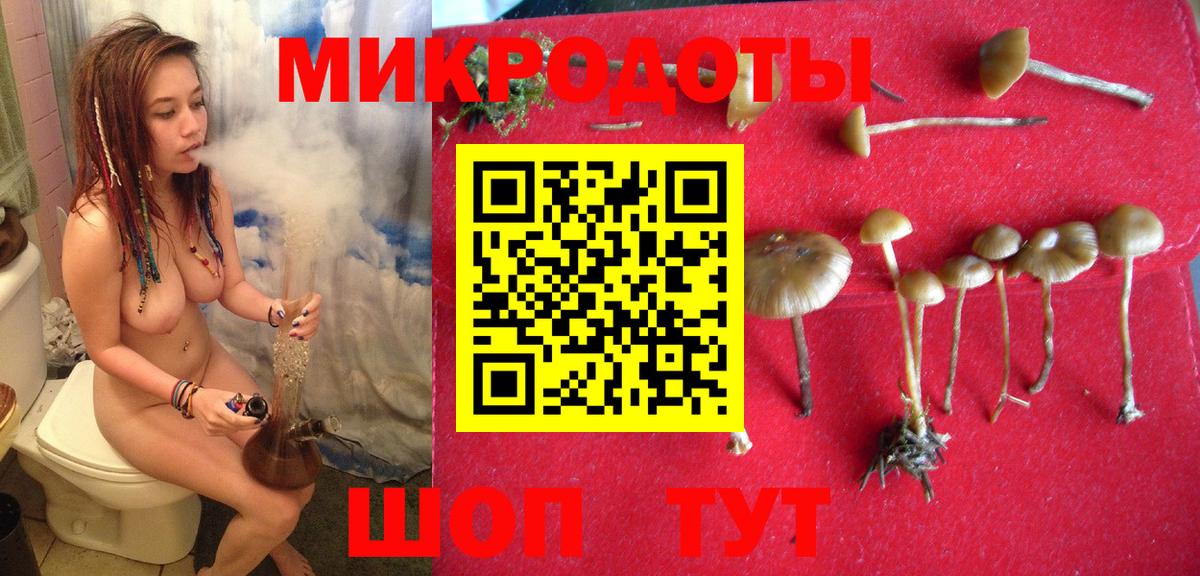 Галлюциногенные грибы мухоморы  Галлюциногенные грибы Cubensis  Артём  Вход с VPN 