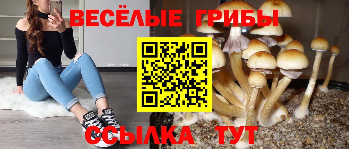 Галлюциногенные грибы мицелий Артём